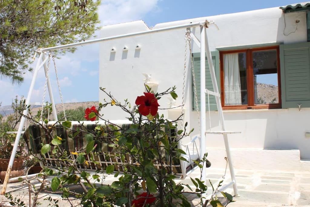 Aegean traditional home in Athens Riviera - B&B Sounio
