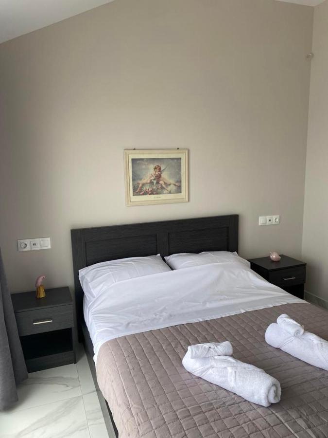 Appartement 1 Chambre