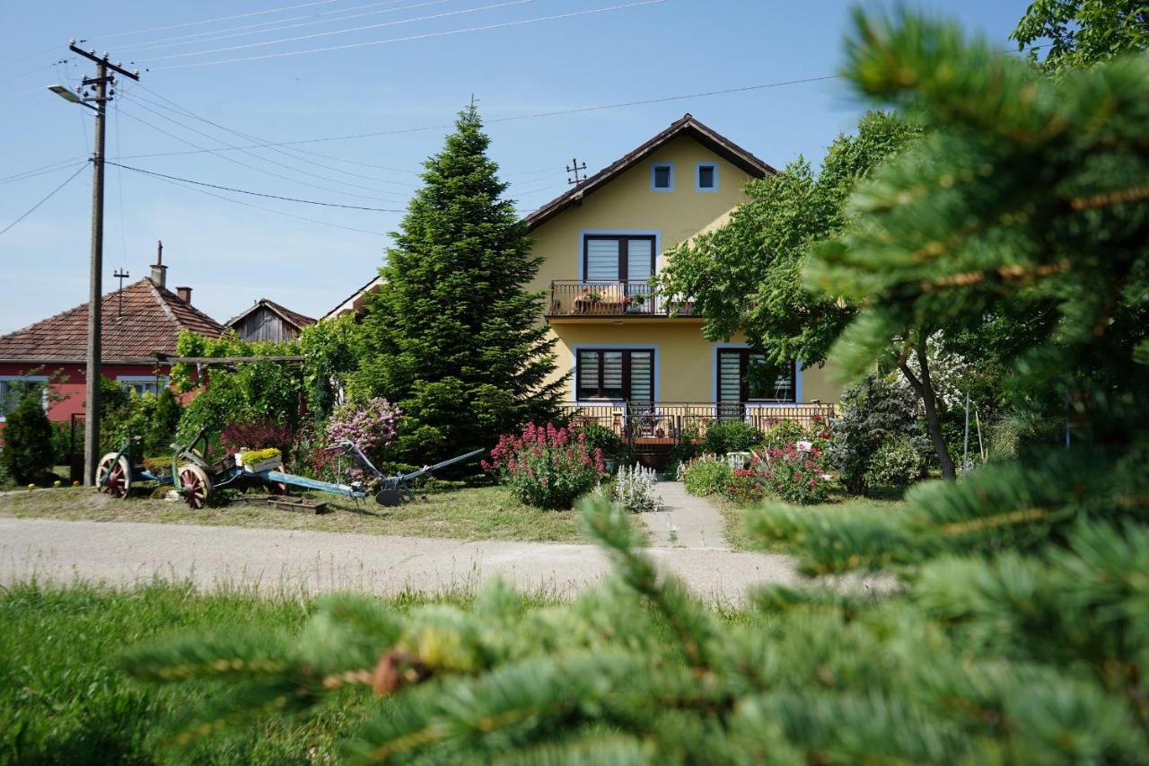 Etnobubi - Bed and Breakfast Novi Sip