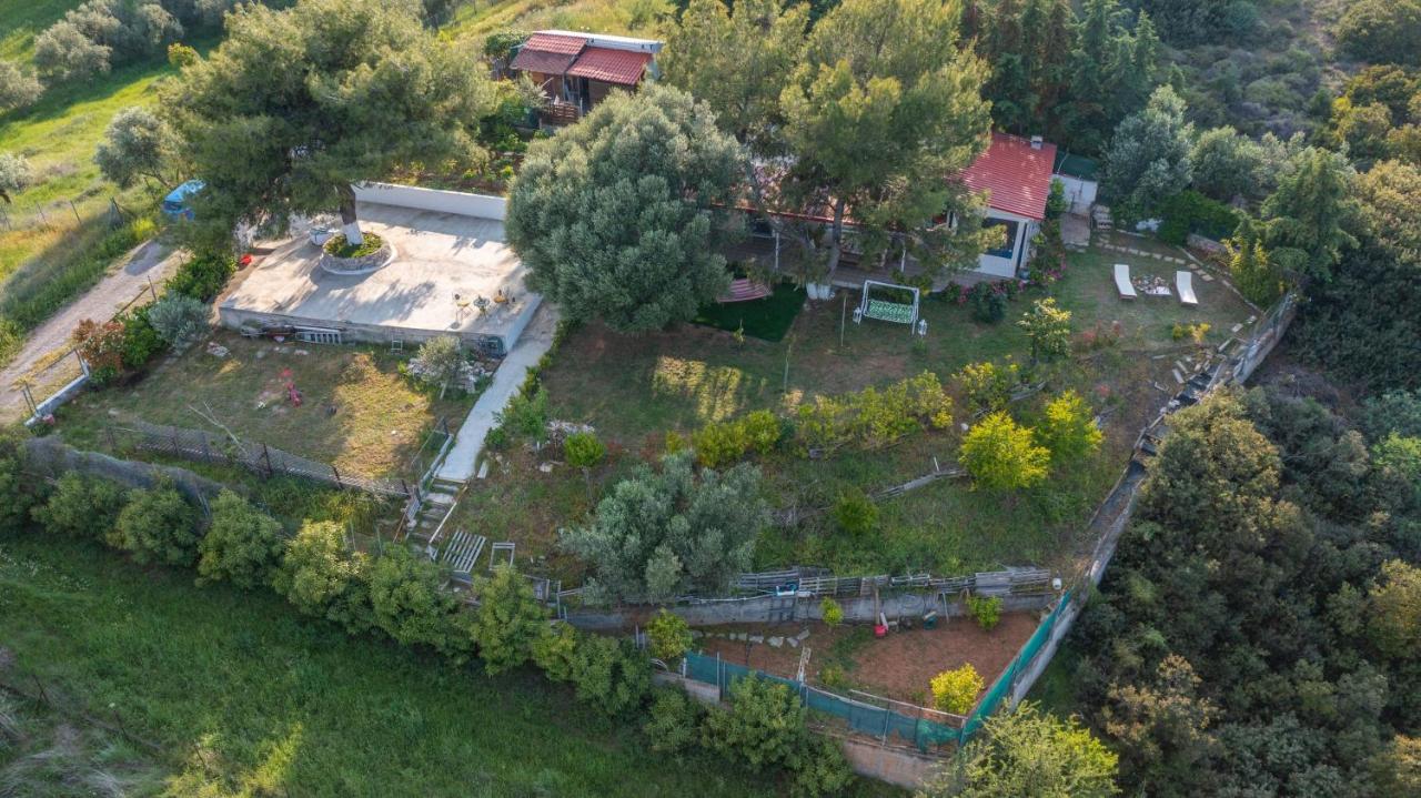 Villa View - B&B