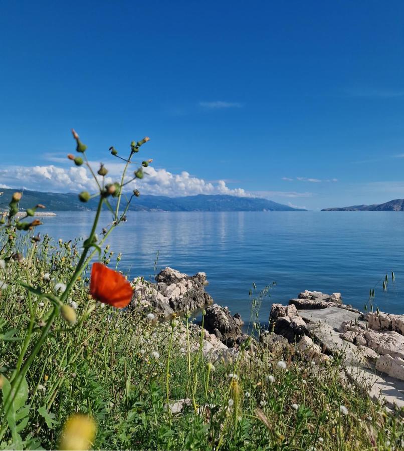 Blue Seagull - Seafront Holiday Home - B&B Novi Vinodolski