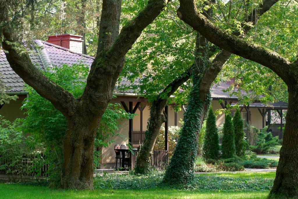 B&B Łacha - Lipowy Przylądek - Domek 7 - Bed and Breakfast Łacha