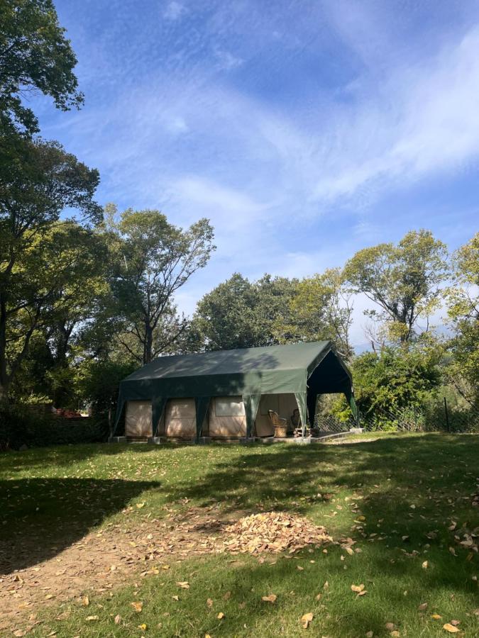 H2H Bir l Nature Camps - B&B Bāri