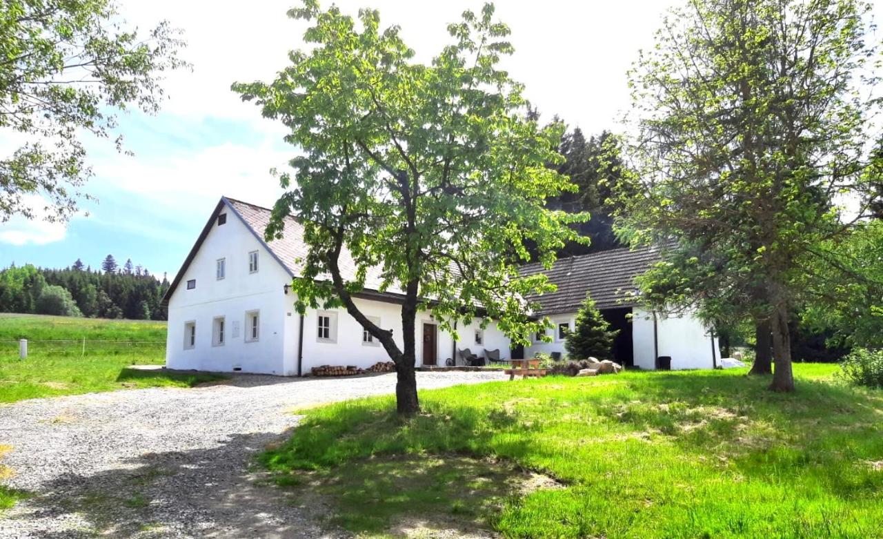 B&B Hořice na Šumavě - Romantická chalupa s krbem - Bed and Breakfast Hořice na Šumavě