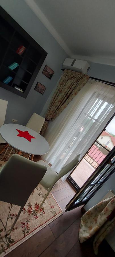 B&B Timisoara - SGB Apartment - Bed and Breakfast Timisoara