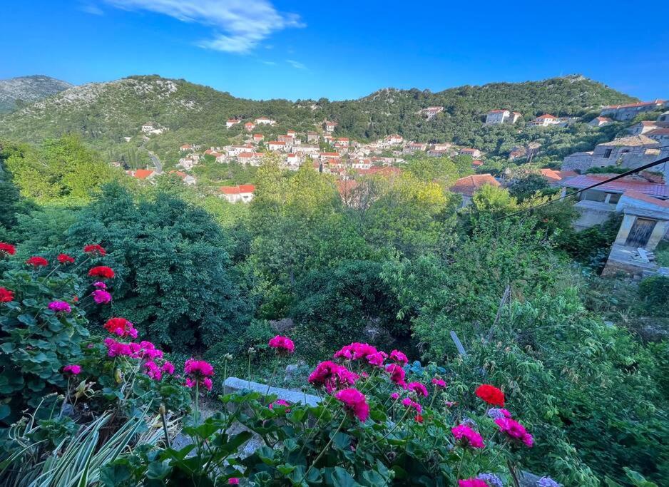 B&B Lastovo - Studio Apartman Ana - Bed and Breakfast Lastovo