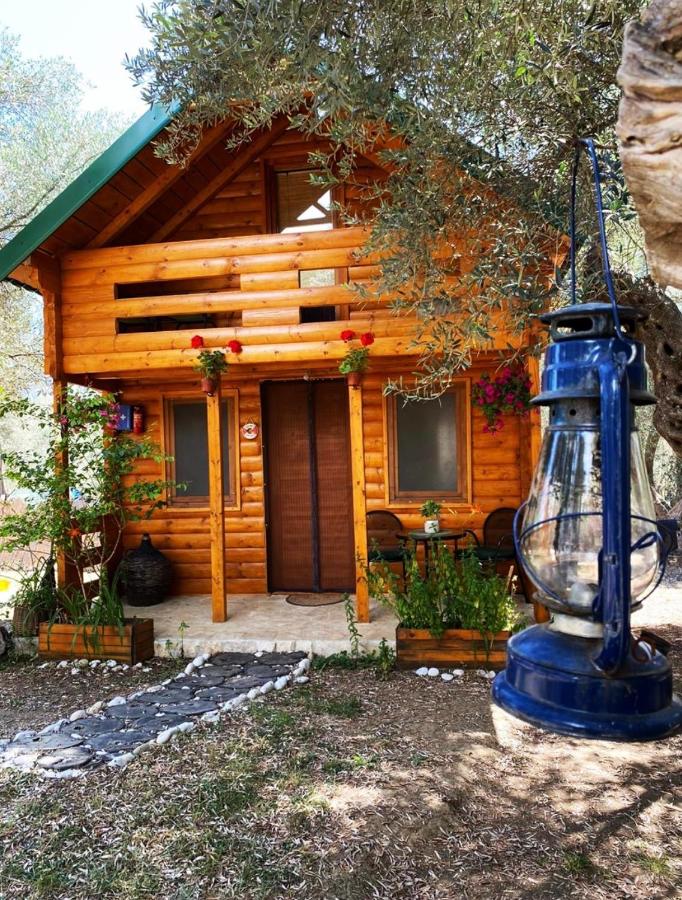Casa Vacanze