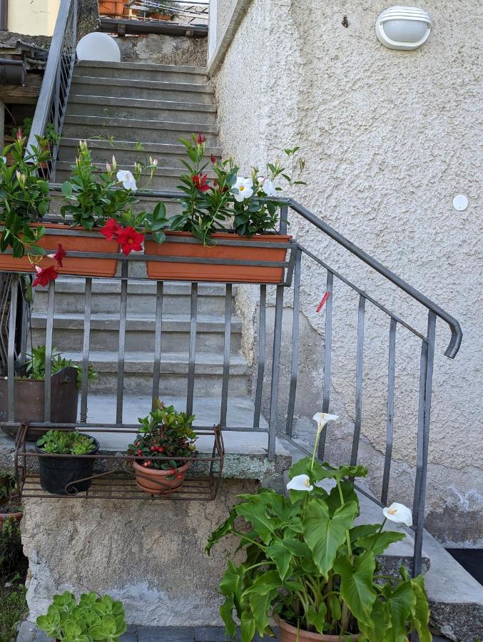 La finestra sul Brenta - Chambres d’hôtes
