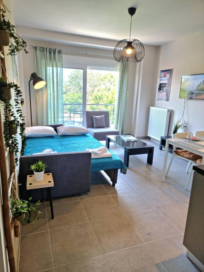 B&B Volos - Palaia premium flat - Bed and Breakfast Volos