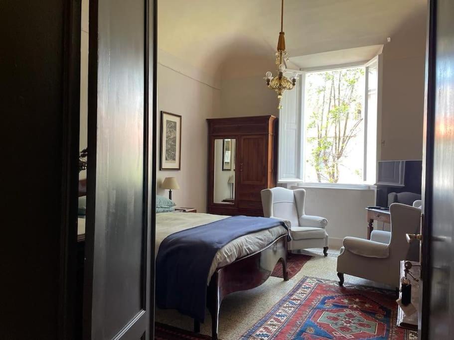 Camera Queen Superior