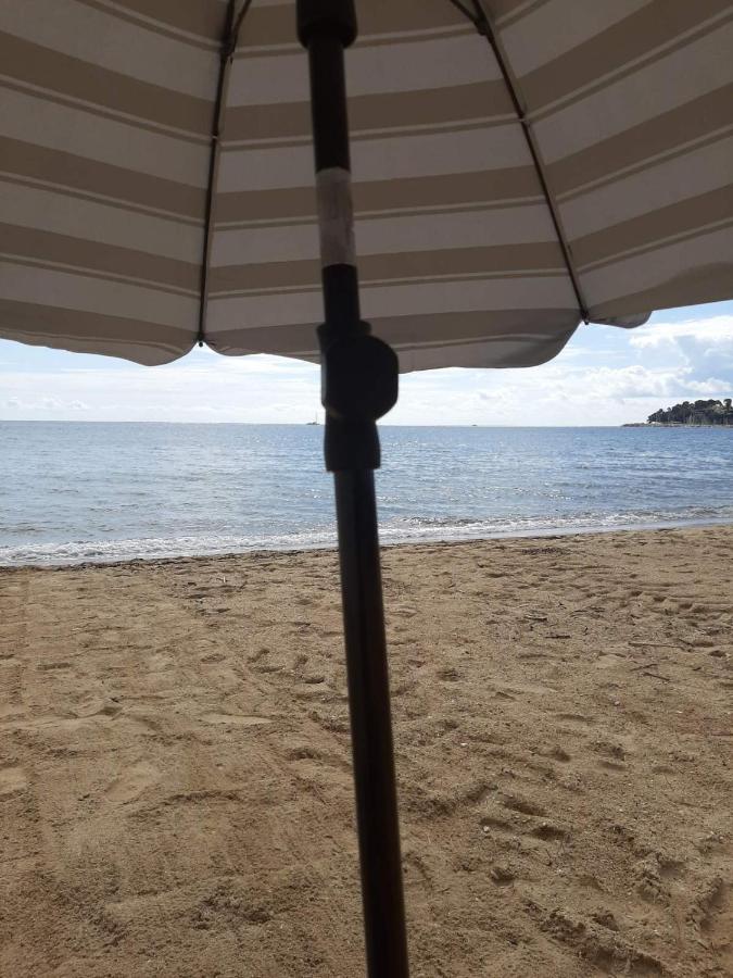 Le Palmier, jardin privatif, plage 200m, classé 3 étoiles, wifi, garage,rénové en 2024 - B&B