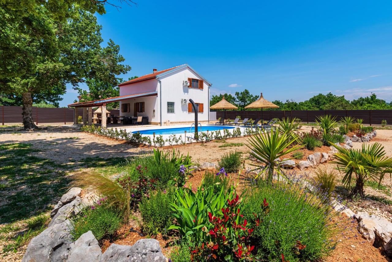 B&B Benkovac - MY DALMATIA - Holiday home Toma with private swimming pool - Bed and Breakfast Benkovac
