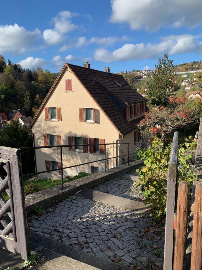 Große Wohnung mit 2 Schlafzimmern - Chambres d’hôtes