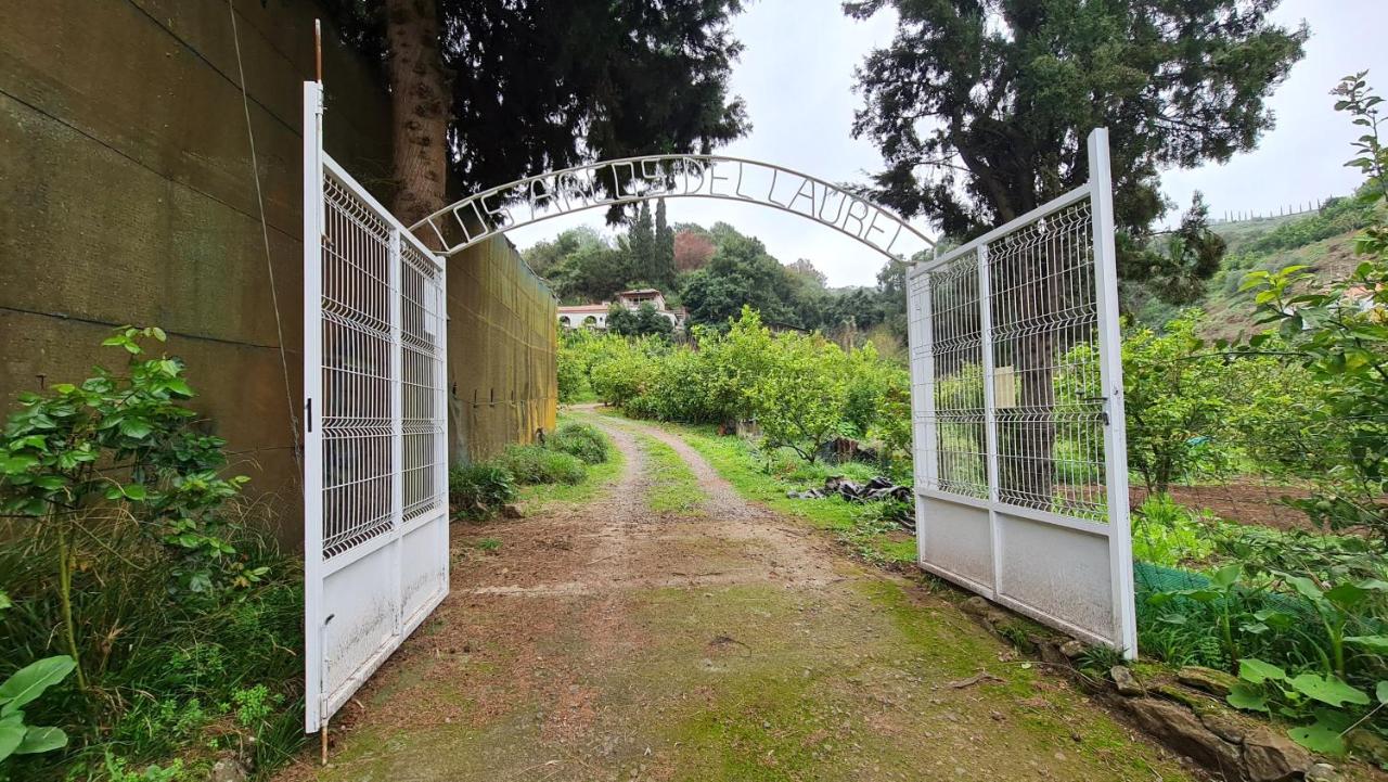 Finca Los Arcos del Laurel - B&B