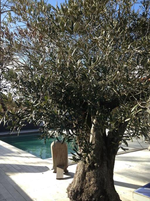 villa 26 PAX Bassin Arcachon - B&B