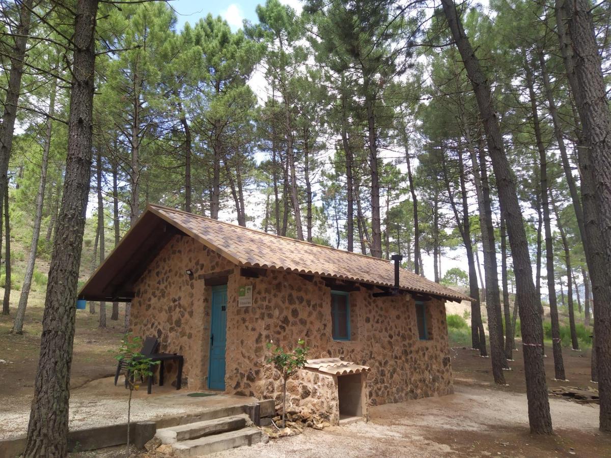 El Rincón de María. - B&B