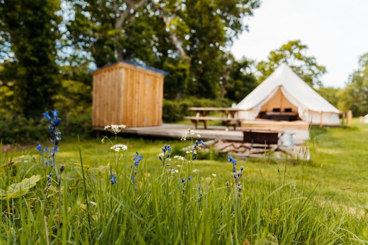 B&B Machynlleth - Cefn Crib Glamping - Bed and Breakfast Machynlleth