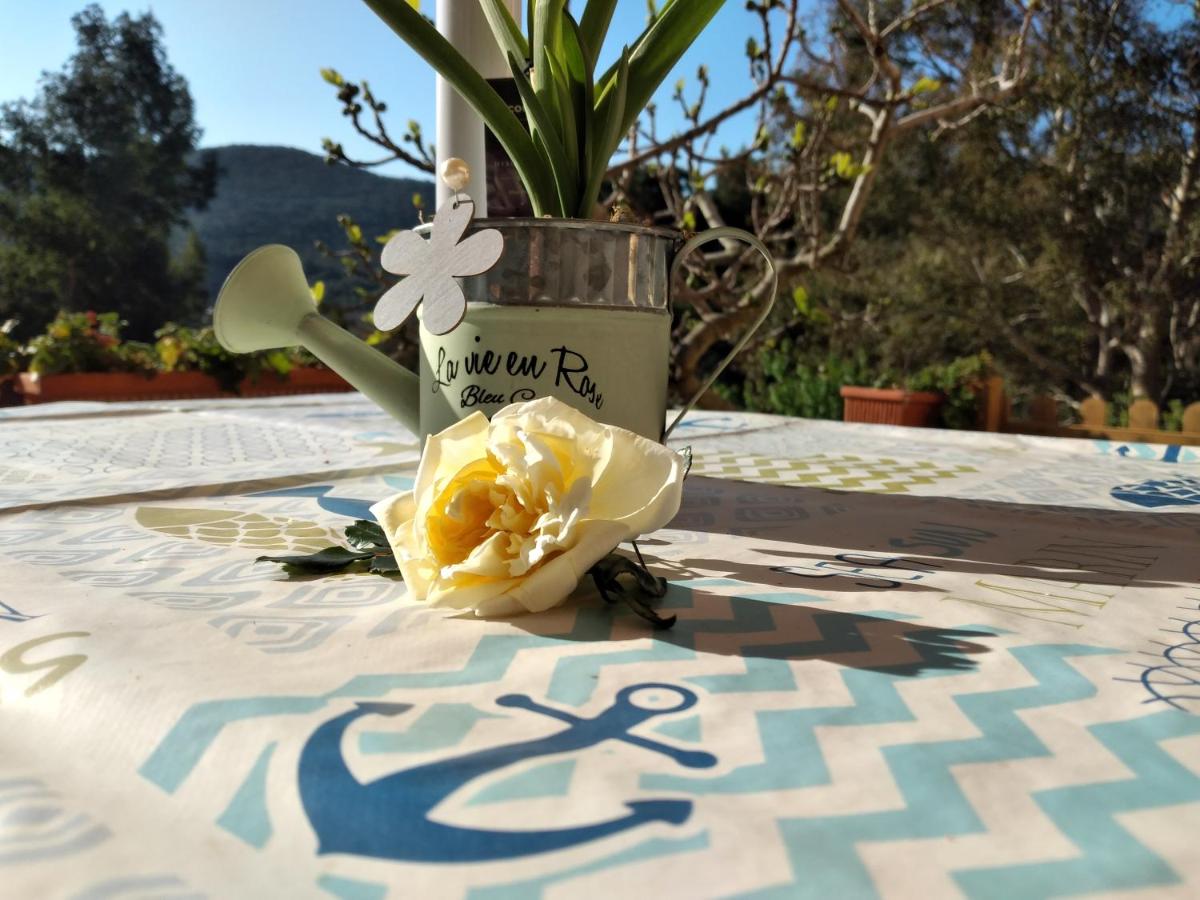 Casa La Rondine - B&B