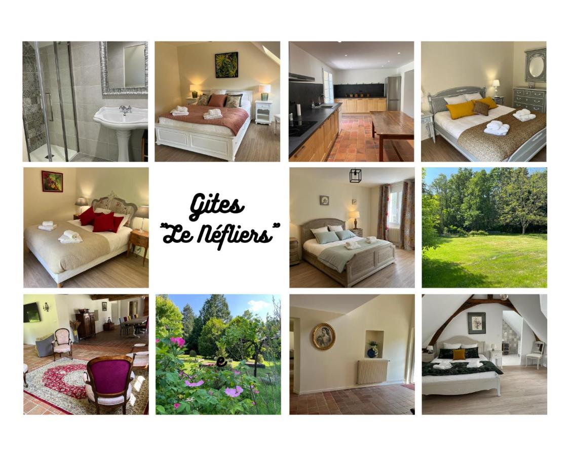 B&B Guémardières - gites du Néflier et hébergement équestre - Bed and Breakfast Guémardières