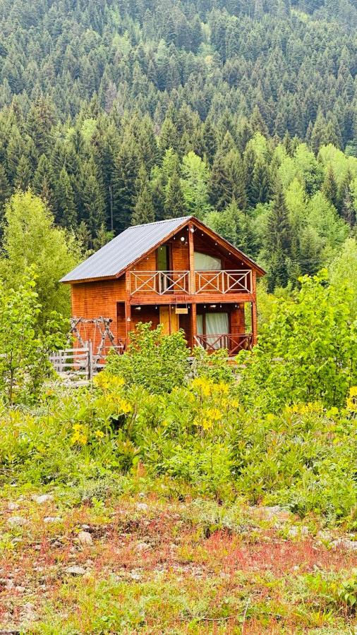 Hill SilENCE MESTIA 1 - Bed and Breakfast Mestia