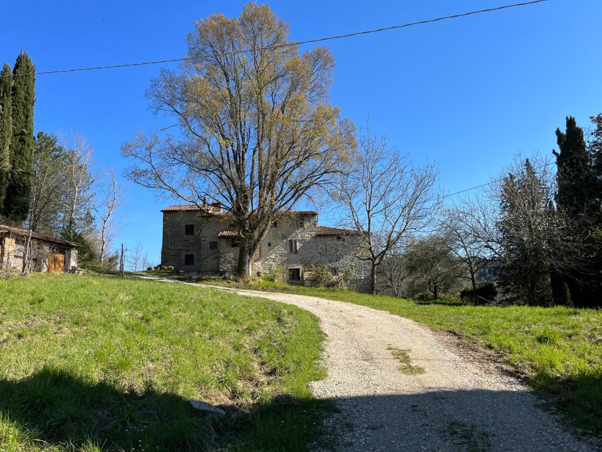 Villa Cavaienti Città di Castello Umbria Agriturismo nel verde - B&B Città di Castello