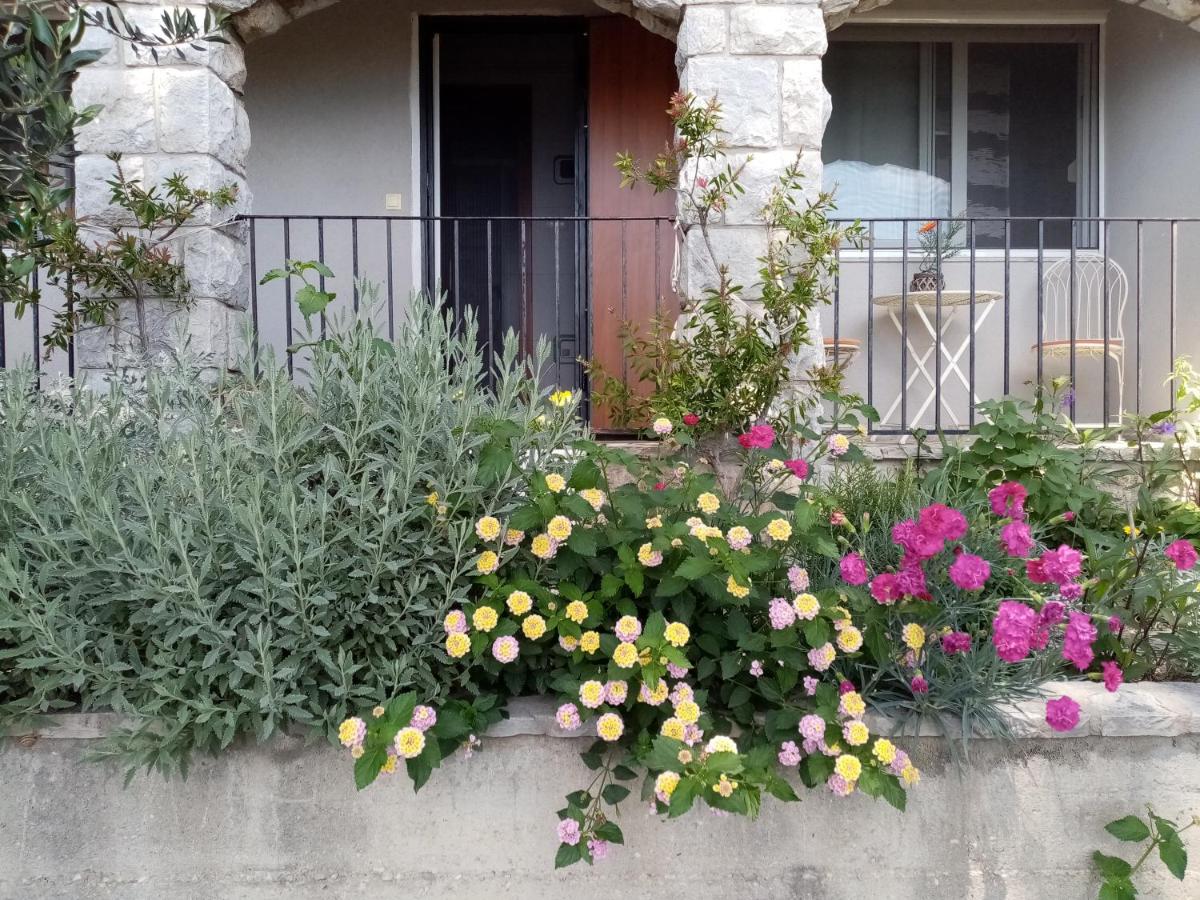 Apartment Žiži - B&B
