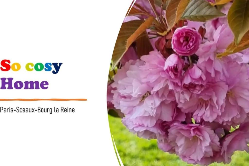So Cosy Home Paris-Sceaux/Bourg-la-Reine. - Ferienwohnung Sceaux