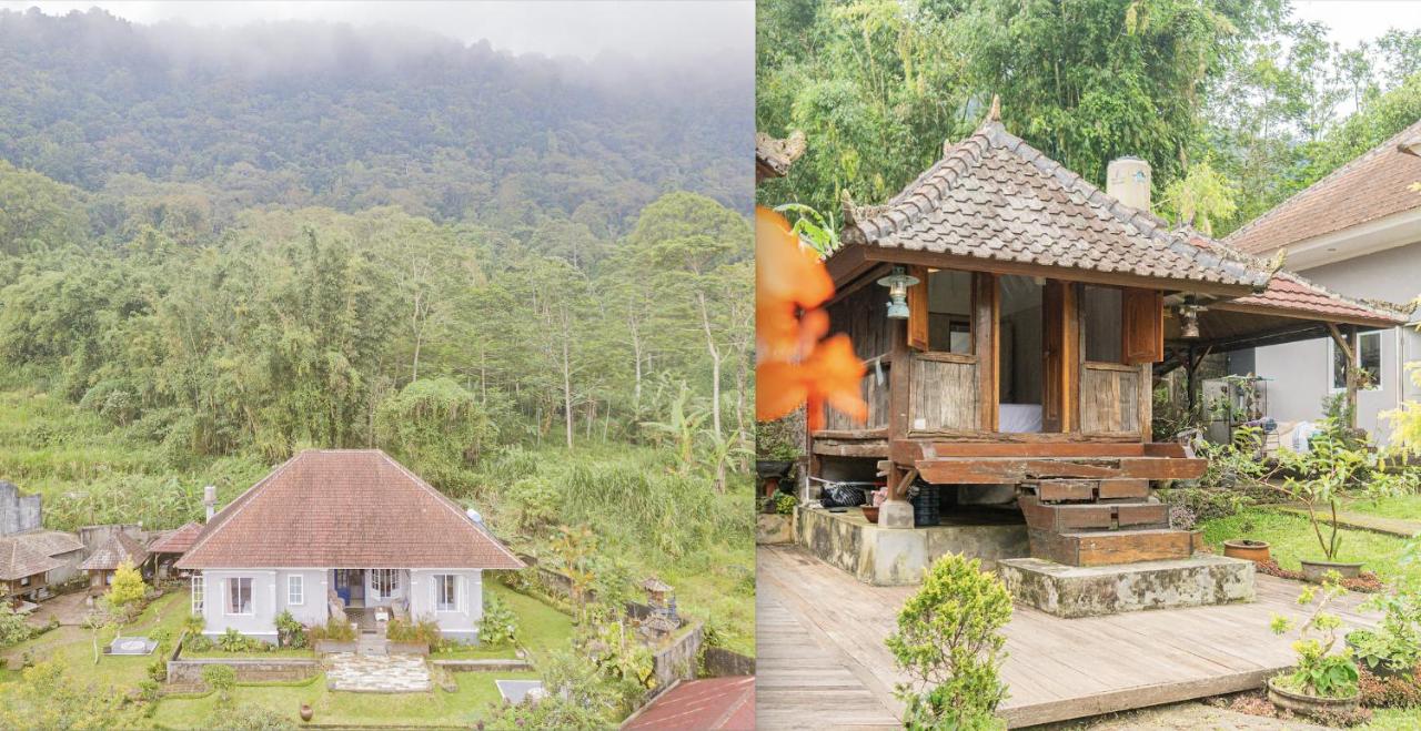 Four Monkeys House - B&B