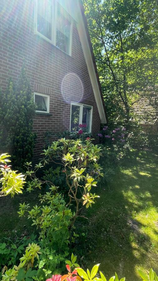 Guesthouse "Cosmea" - B&B