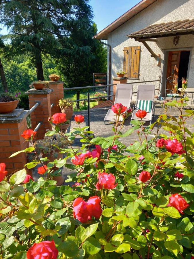 casale Fossitello - B&B Torre San Severo