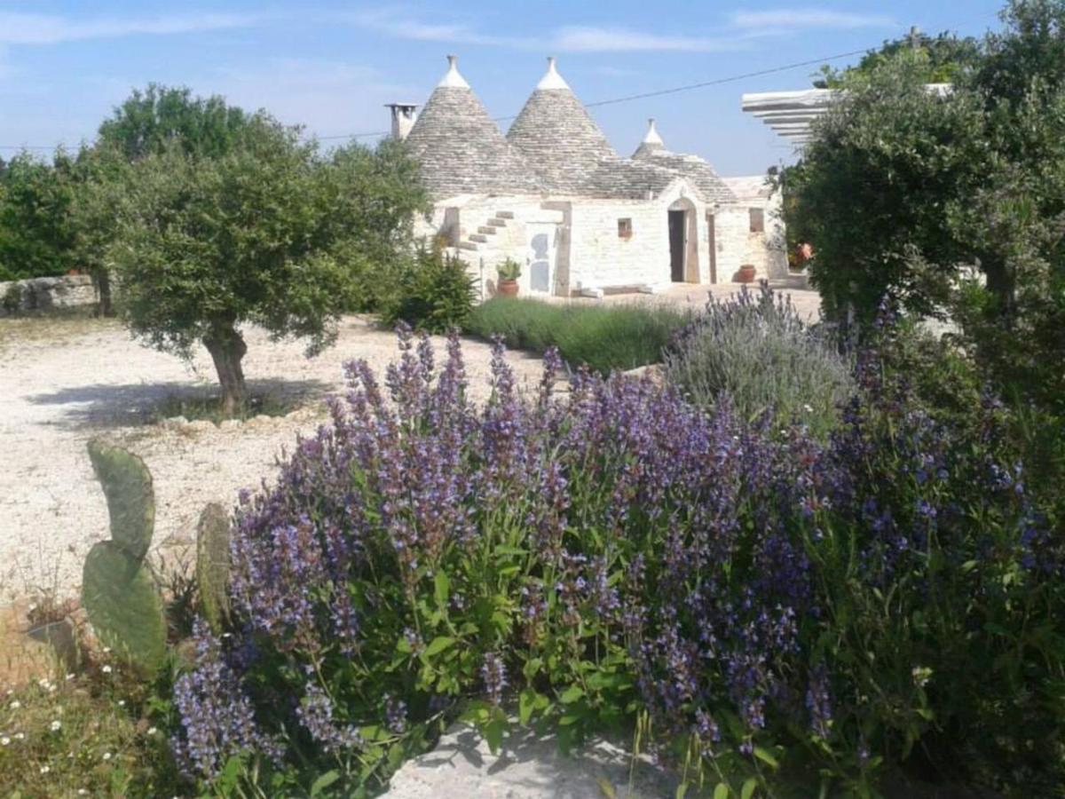 B&B Martina Franca - Trullo Raimondo - Bed and Breakfast Martina Franca