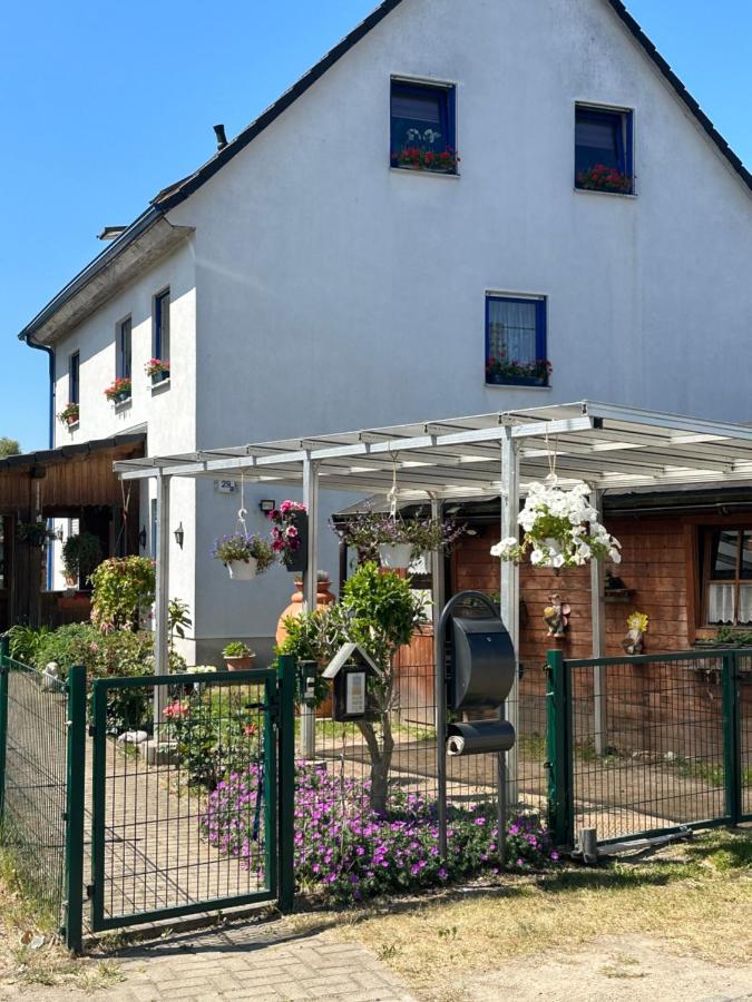 Ferienwohnung Steffi Lauschke - Ferienwohnung