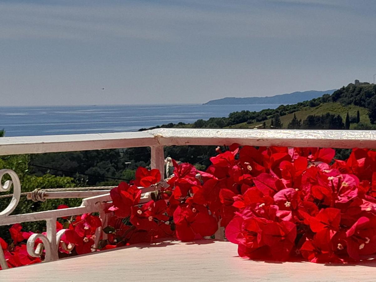 Angelos apartment's - Bed and Breakfast Arillas