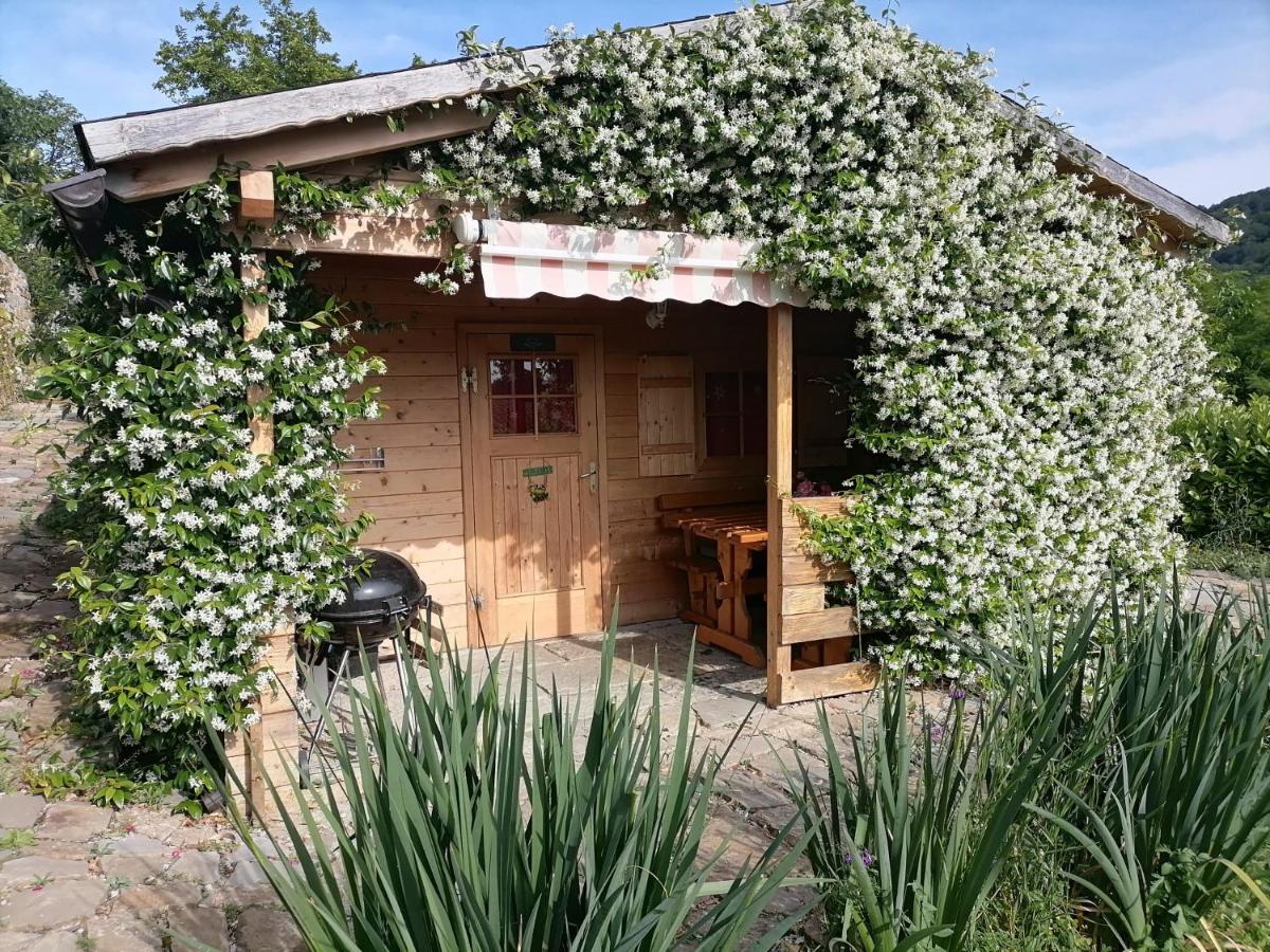 Apartma Suzy - B&B Pobegi