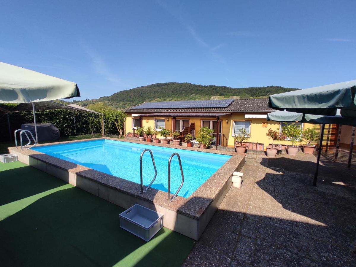 Moselferienweingut Schaefer - Ferienwohnung