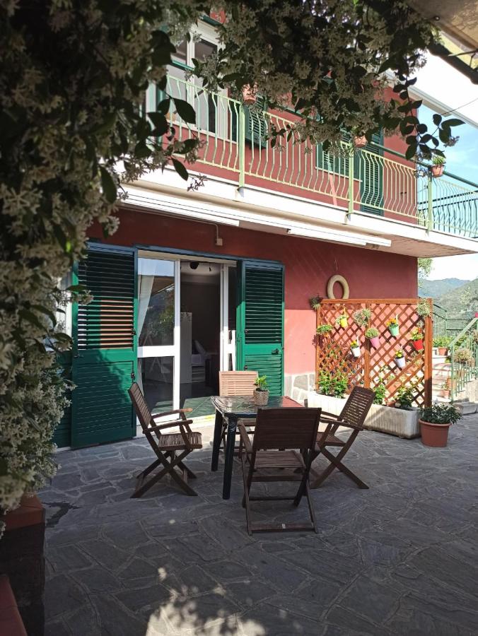 Il Glicine cozy appartamnent, near Sestri Levante between Cinque terre e Portofino - B&B Casarza Ligure