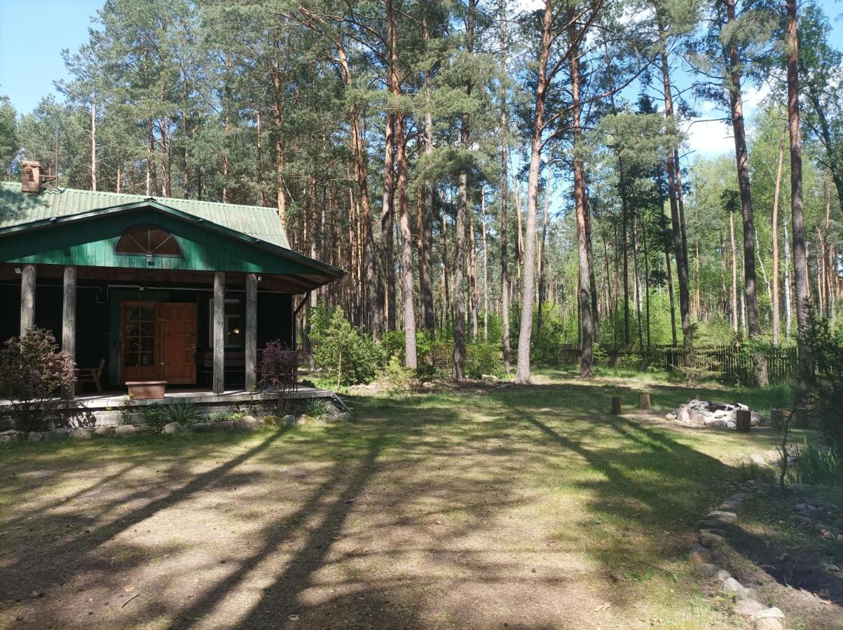 Fantastyczny domek w lesie
