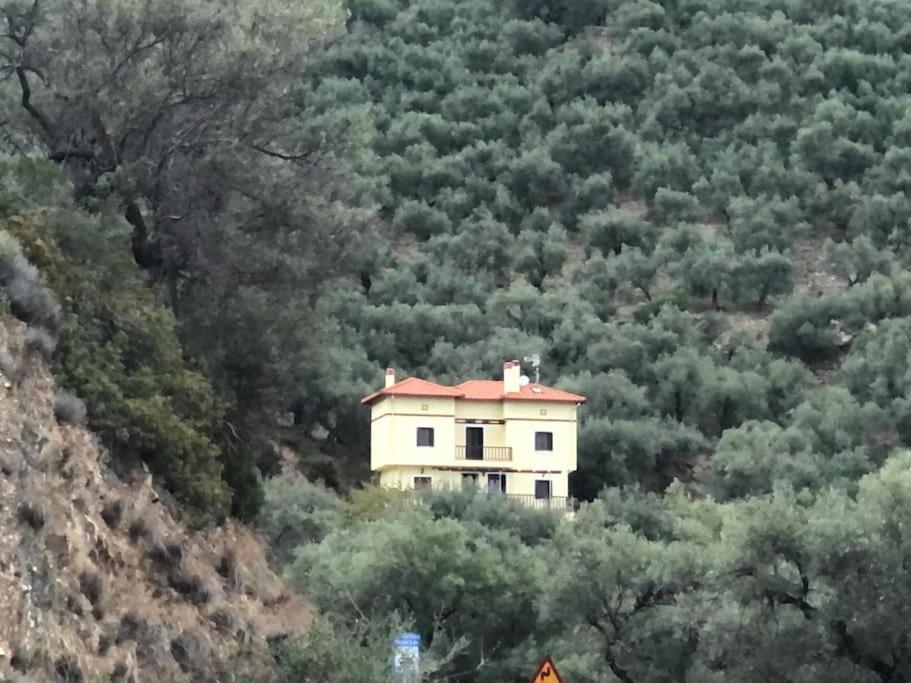 Pelion Mountain & Sea Villa - Private Studio - B&B Áno Gatzéa