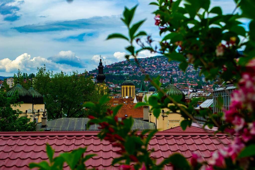 Udobna kuća u srcu starog grada & Besplatan parking! - Ferienwohnung