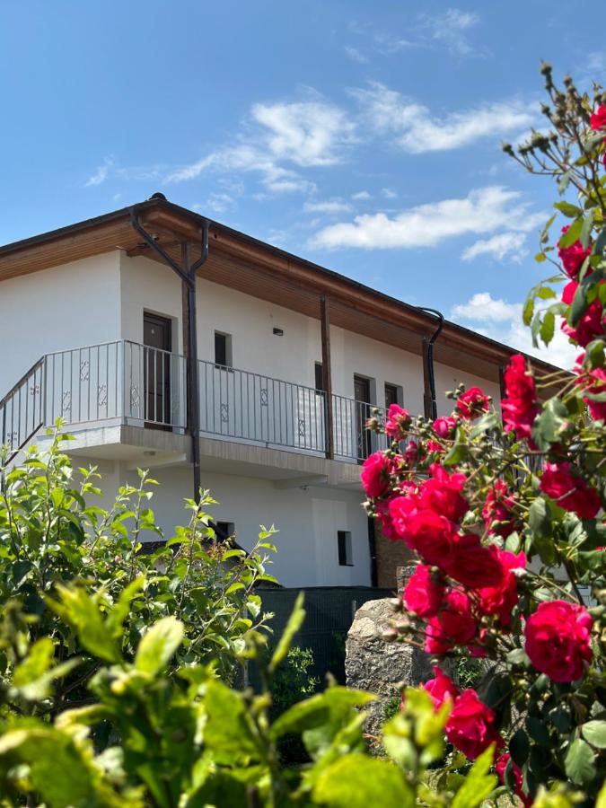 B&B Vama Veche - Vila Bloom - Bed and Breakfast Vama Veche