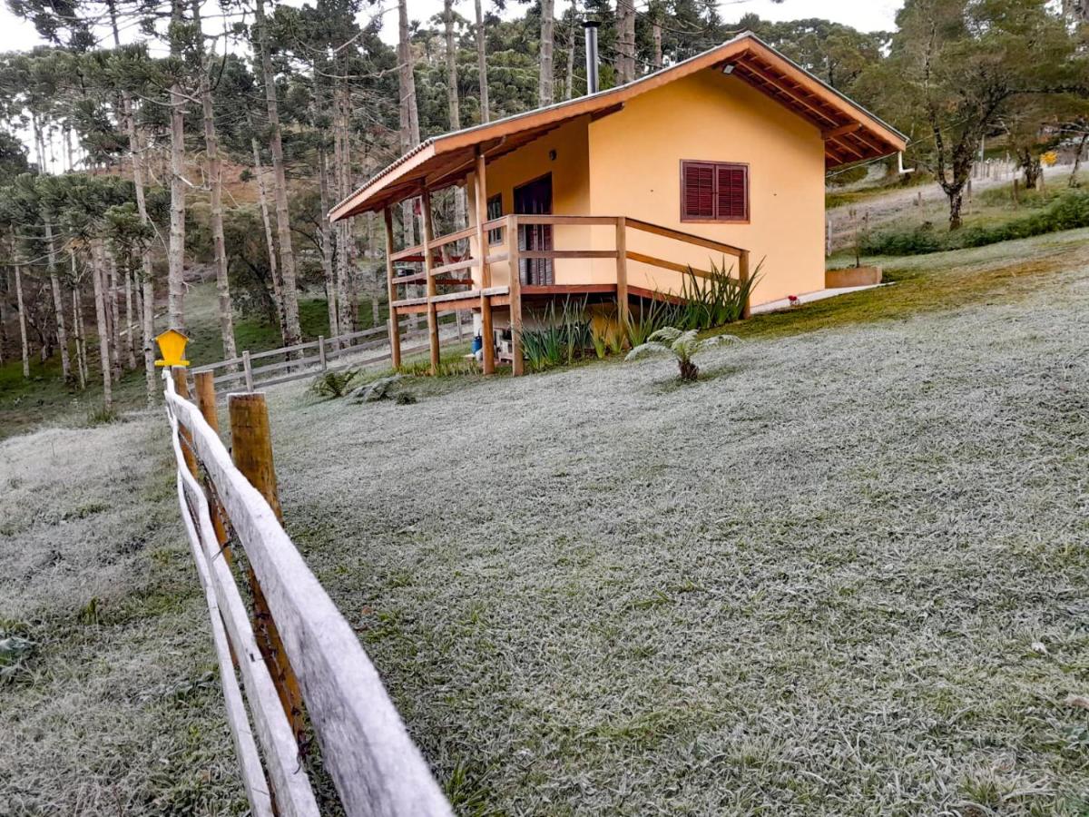 Chalé Refúgio das Araucárias - Ferienwohnung