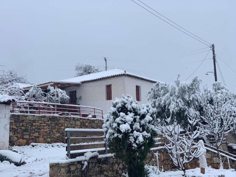 Artemis Cottage Home - B&B