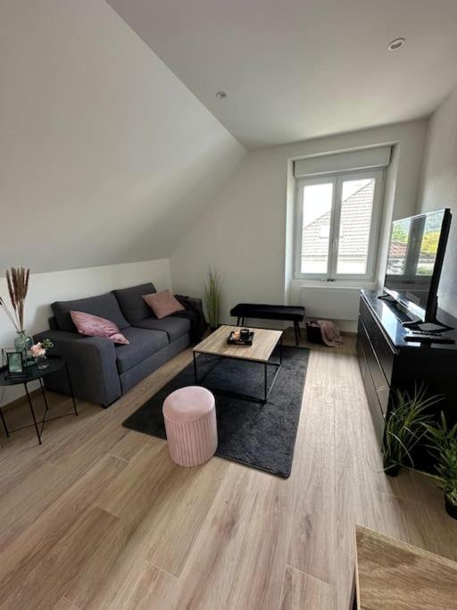 Beau Studio Cosy proche frontière Suisse - Chambres d’hôtes