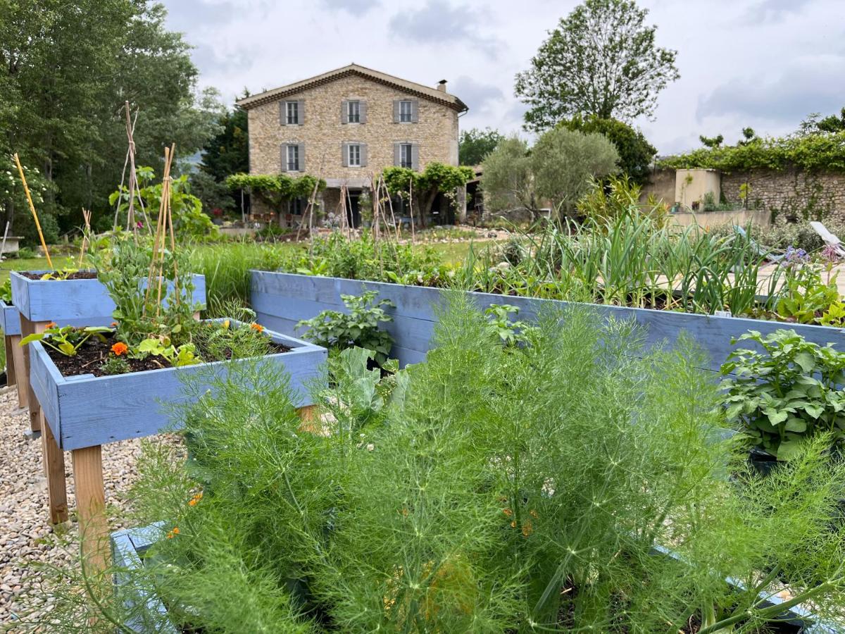 Mas Lou Parpaioun - B&B