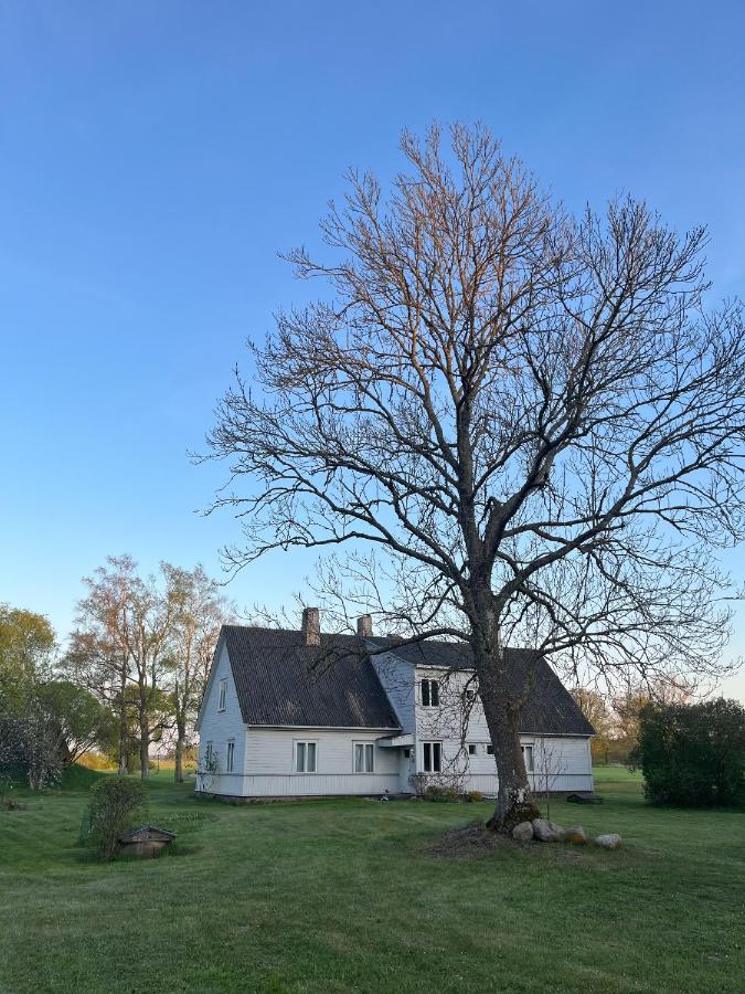 Katrina Summer House - B&B