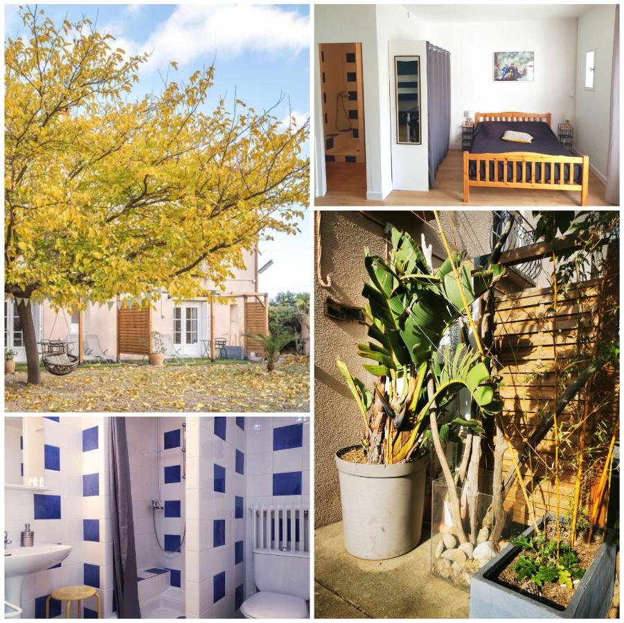 MAS PARET Studio plein sud - Parc 1 ha au calme - B&B