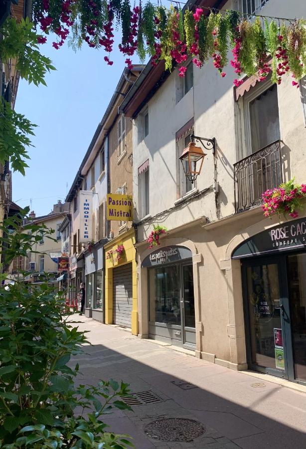 Charmant appartement au cœur de Neuville - Lyon à 20mn - Ferienwohnung