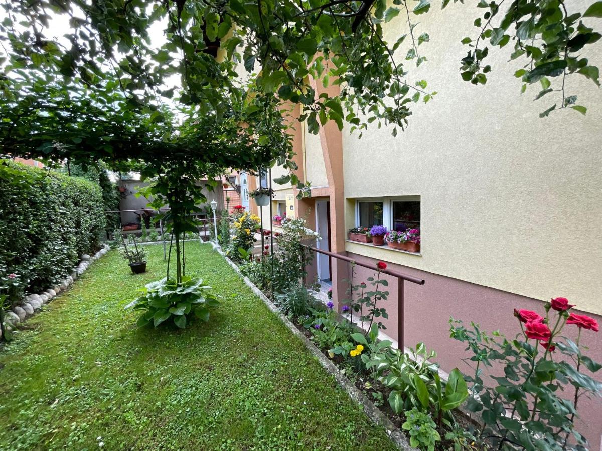 Dreamy Garden Apartment - Bed and Breakfast Sarajevo