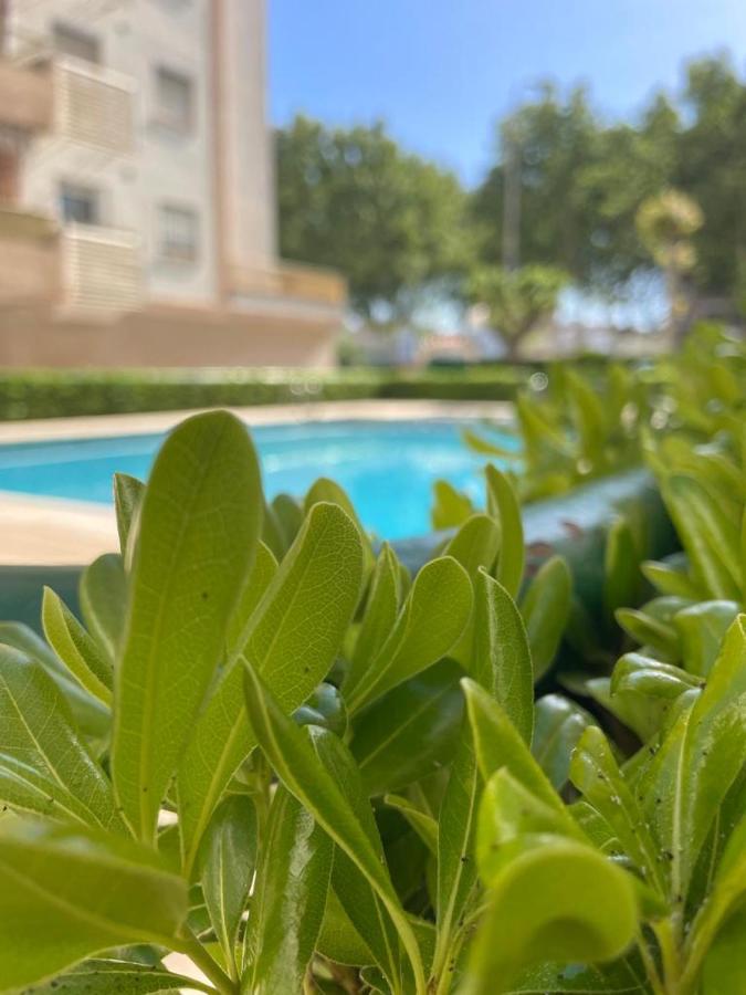 Apartamento Relax Playa Gandía Solo Familias - B&B Platja de Gandía