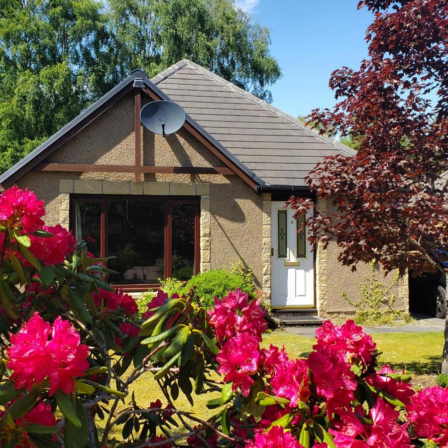 Aviemore Bungalow, Dalfaber - Chambres d’hôtes